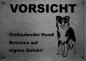 Preview: Edelstahl Warnschild Australian Shepherd VORSICHT Freilaufender Hund! Betreten auf eigene Gefahr!