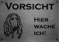Preview: Edelstahl Warnschild Afghanischer Windhund VORSICHT Hier wache ich!