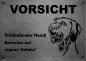 Preview: Edelstahl Warnschild Wirehaired Vizsla VORSICHT Freilaufender Hund! Betreten auf eigene Gefahr!