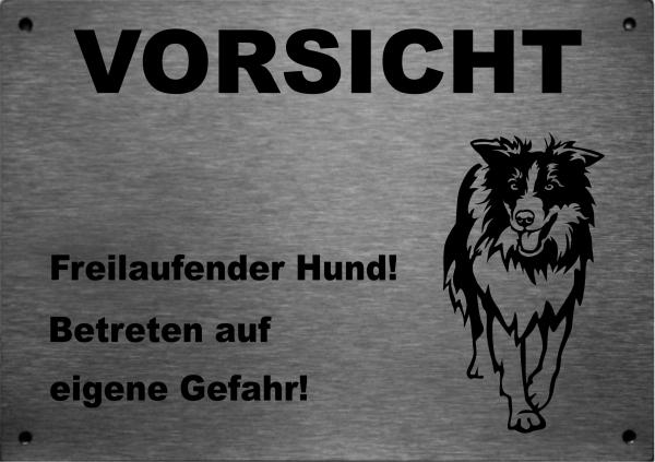 Edelstahl Warnschild Border Collie VORSICHT Freilaufender Hund! Betreten auf eigene Gefahr!